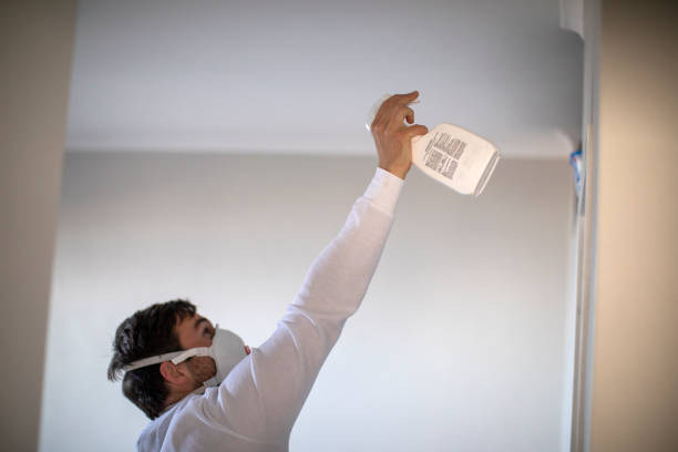 Best Crawl Space Mold Removal  in Wamac, IL