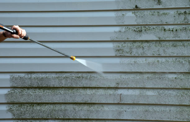 Best Water Damage Restoration  in Wamac, IL