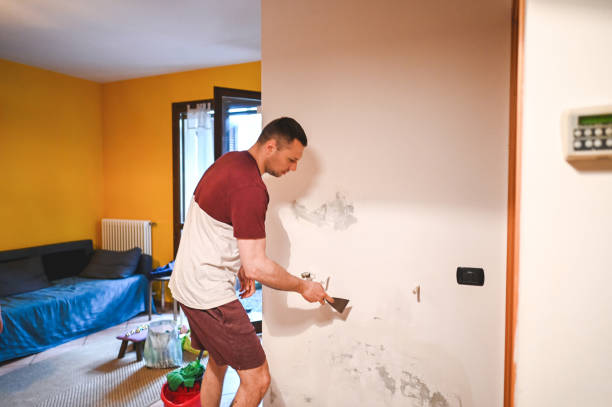 Best Office Mold Removal Services  in Wamac, IL