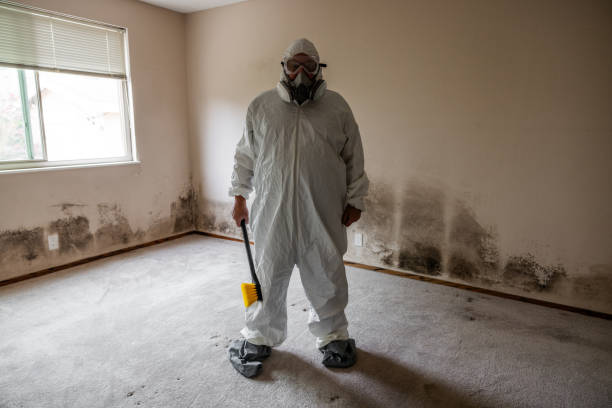 Best Mold Testing  in Wamac, IL